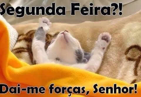 Bom dia alegriaaaa - 2