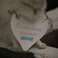 Sempre presente. 🐕