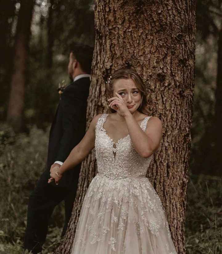 4. First look 