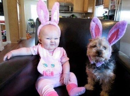Bebés e animais em casa