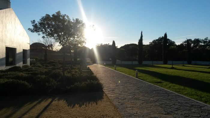 A quinta - 3