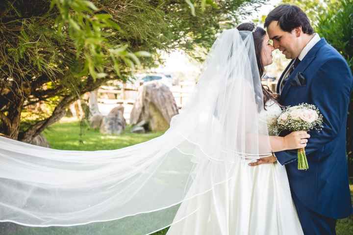 Vais usar véu? 👰 - 1