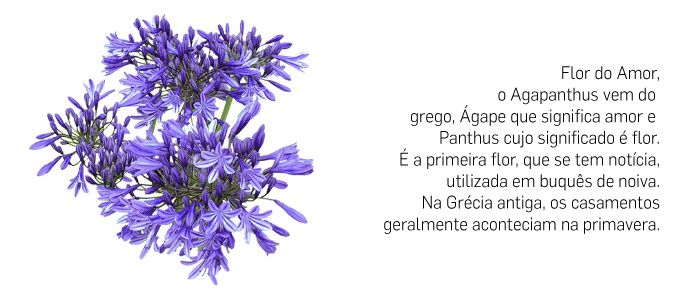 História do Bouquet de Noiva 1