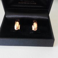 Alianças já em casa - 1