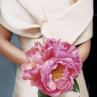 ramo de uma flor