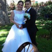 Meu dia foi lindo 30 julho 2016 - 3