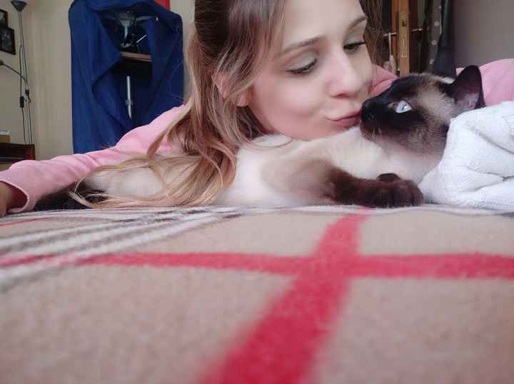 Acessório para a nossa gatinha ♥️ - 2