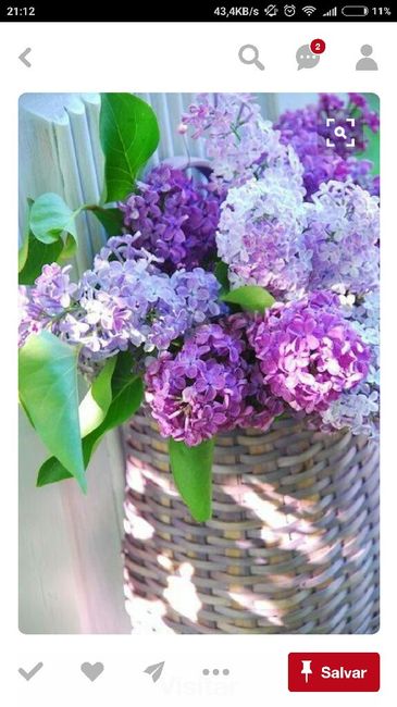 Fornecedores de flores - 1