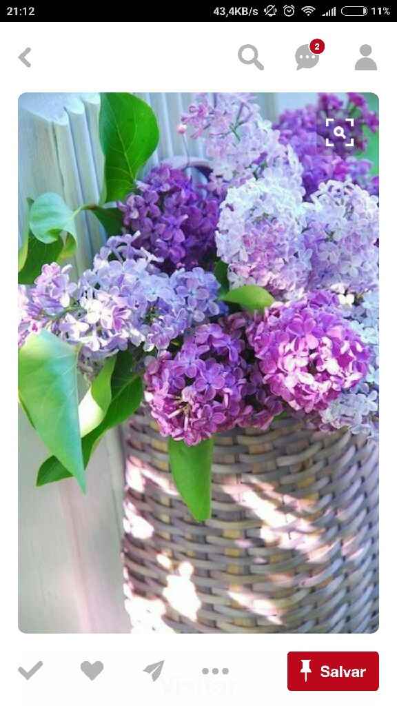 Fornecedores de flores - 1