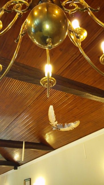 decoração