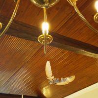 decoração
