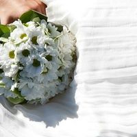 Florista - 1