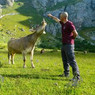 Dina