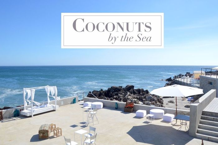coconut by the sea
