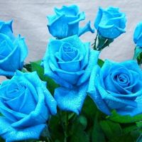 Bouquet noiva - 2