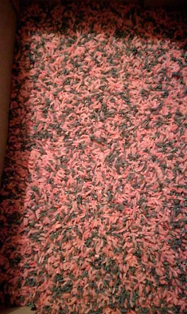 o meu arroz - 1