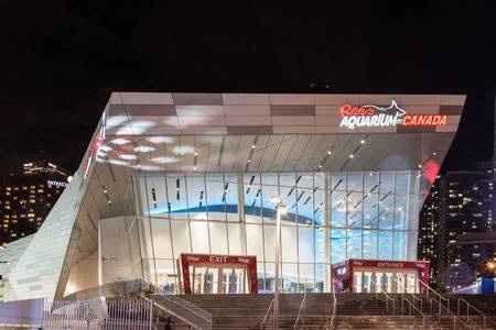 Descobre as atrações turísticas para destino de lua de mel em Toronto 🇨🇦 - 7