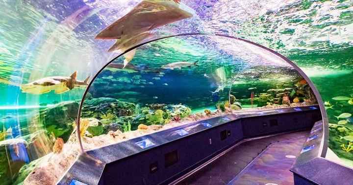 Descobre as atrações turísticas para destino de lua de mel em Toronto 🇨🇦 - 12