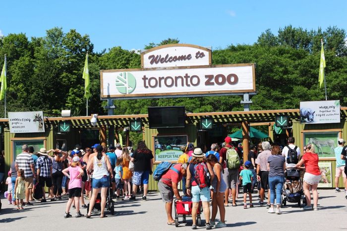 Descobre as atrações turísticas para destino de lua de mel em Toronto 🇨🇦 9