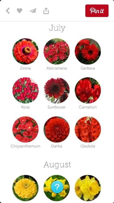 Que flores sao estas? - 7