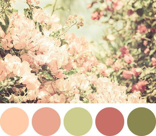 Clube das noivas de outono - 4