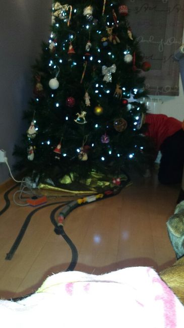 O nosso natal... - 4