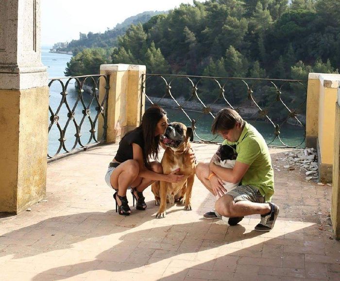 Inspirações com animal de companhia - 2