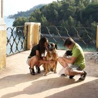 Inspirações com animal de companhia - 2
