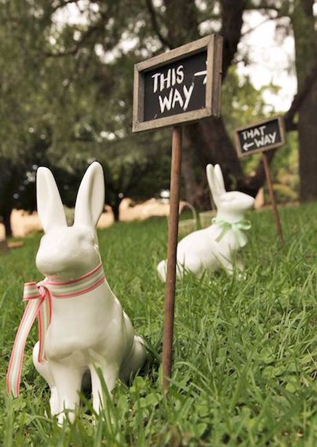 Follow the White Rabbit