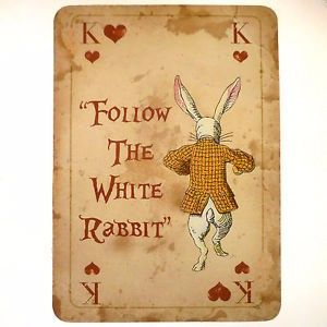 Follow the White Rabbit 2