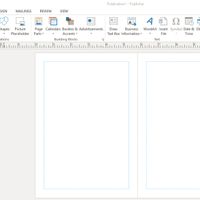 Publisher 3