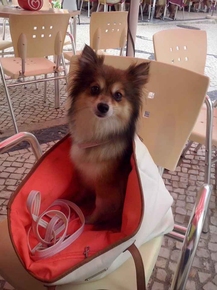 pose de lady 