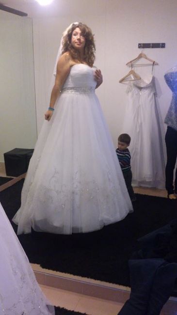 Relatorio da aventura do vestido - 1