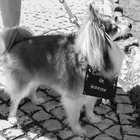 Luna na cerimónia 