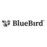 BlueBird