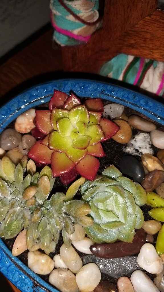 Oferta para os convidados - 1