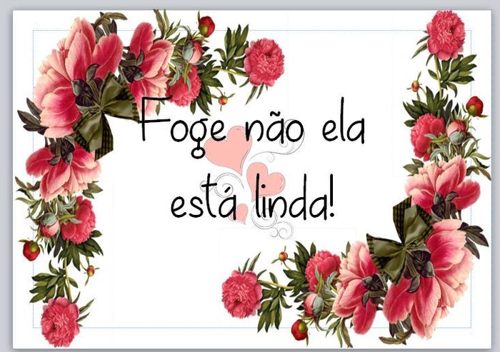 opção 3