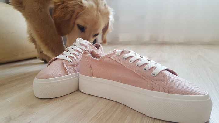 Os meus sapatos 👠 - 8