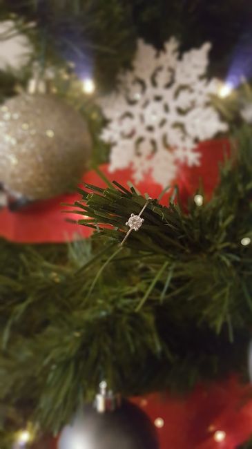 Anel na árvore 💍🎄 - 2