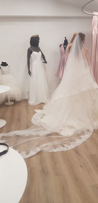 o meu vestido chegou - 5
