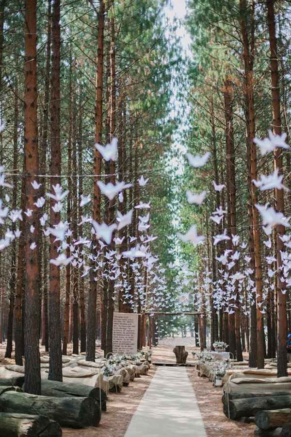 1. Papel para decoração de cerimónia e troncos de árvores para assentos.