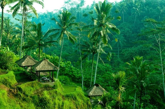 Ubud - Bali