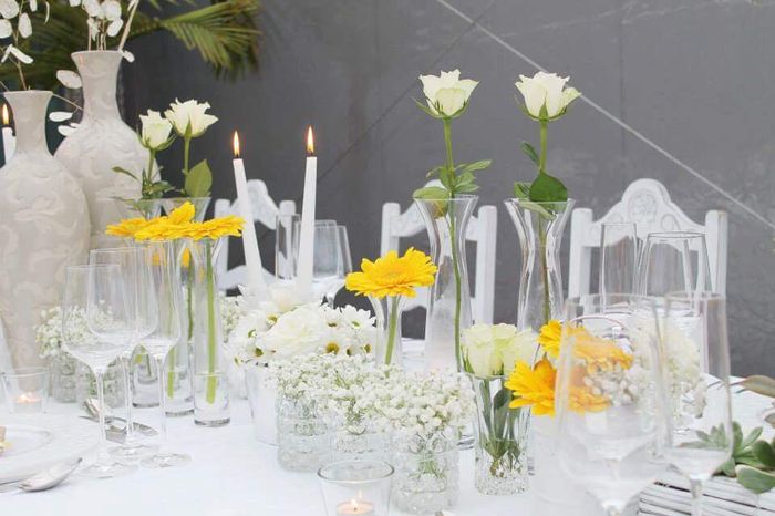 Try Yellow - Decoração da festa - 1