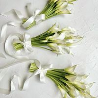 Hello brides!! Sabem se as tulipas em junho são aconselhadas? - 1
