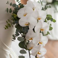 Hello brides!! Sabem se as tulipas em junho são aconselhadas? - 2