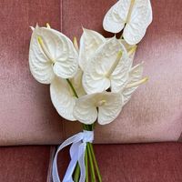 Hello brides!! Sabem se as tulipas em junho são aconselhadas? - 3