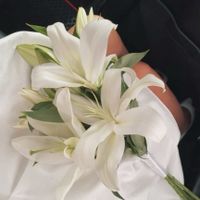 Hello brides!! Sabem se as tulipas em junho são aconselhadas? - 4