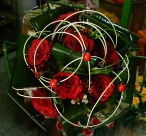 imagem 2