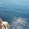 Andreia