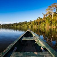 Para os casais em busca de aventura a Amazônia é o destino perfeito. A floresta tropical é a maior d